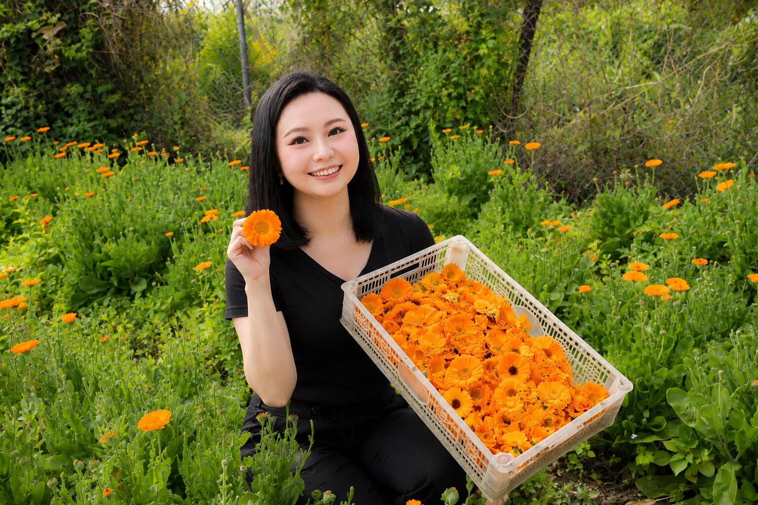主理人 Louise Cheung|英國 IFA 國際認證芳香治療師